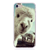 Soft TPU Phone Case For iPhone